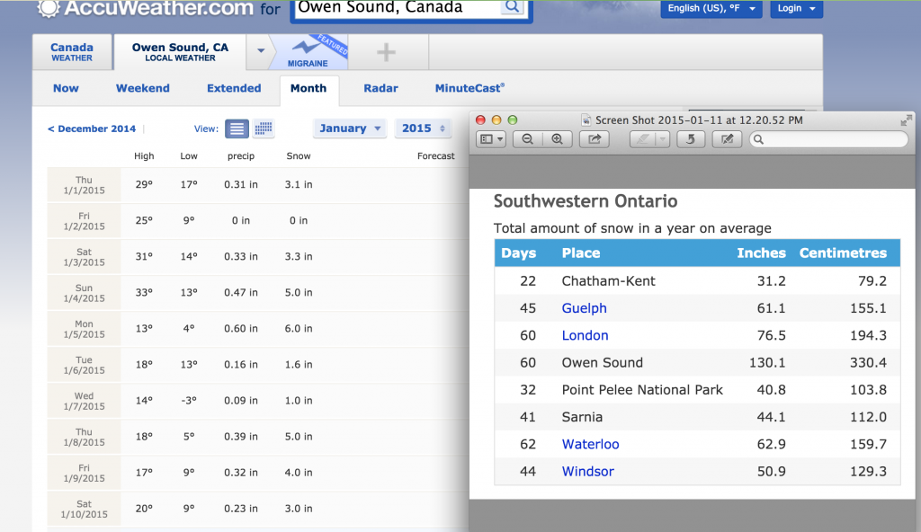 Owen Sound weather screen shot January 2015