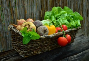 thanksgiving harvest