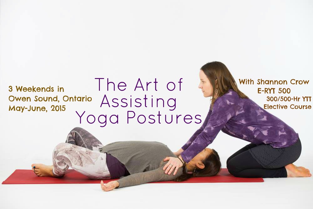 The Art of Assisting Yoga Postures – 50-hour Training