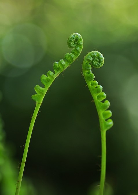 Yin Yoga for Spring