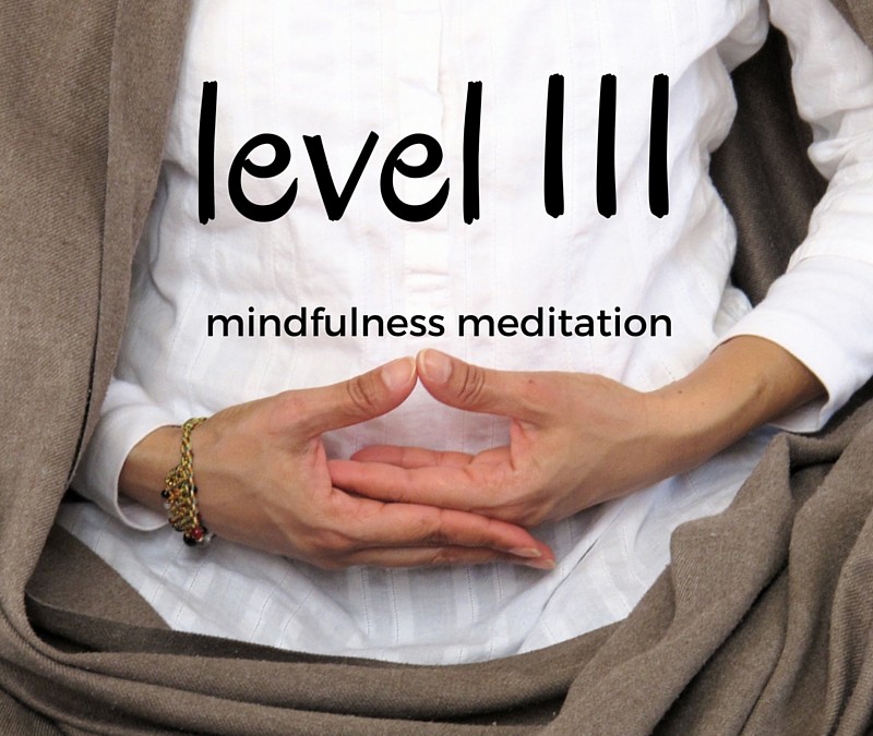 Level III Mindfulness Meditation