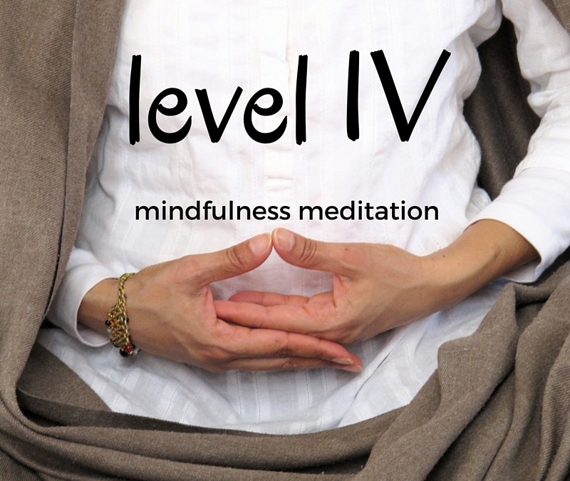 Level IV Mindfulness Meditation